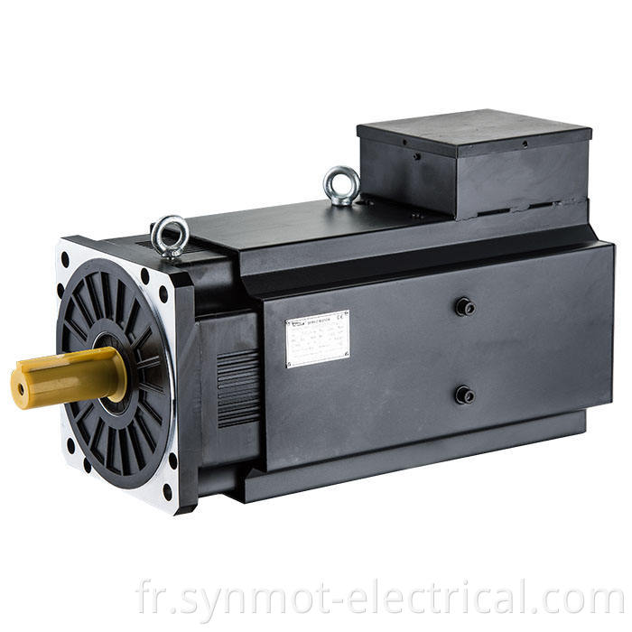 Synmot 51kw 287nm 1700RPM Servo-moteurs synchrones pour machine à injection